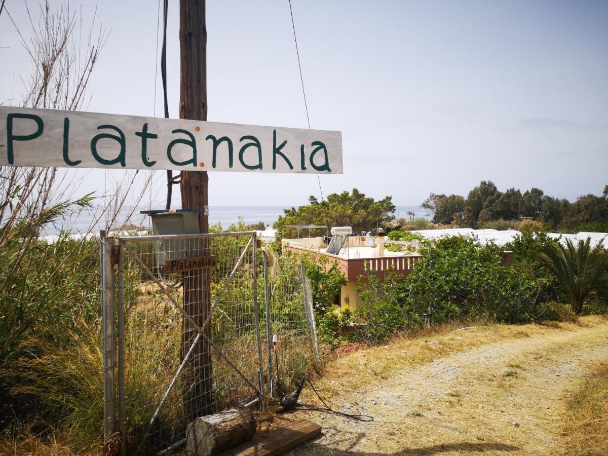 Platanakia Villa Myrtos Buitenkant foto